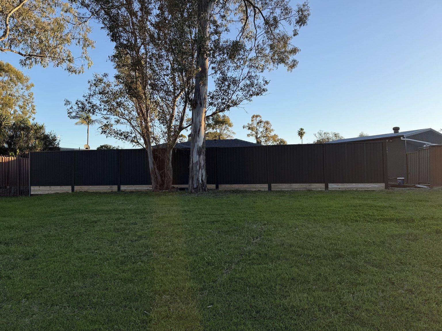 Dark Colorbond boundary fence beside a lawn